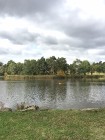IMG_0859