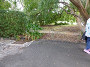 5 - Hedgeley Dene Gardens