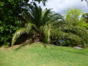 17 Oct 2018 Walk Hedgley Dene