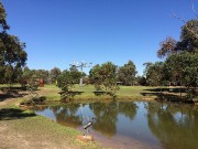 IMG_0729
