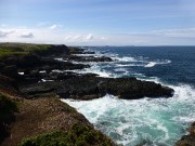11 - Ocean view