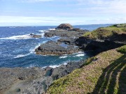 12 - blow hole, nobbies & seal rocks