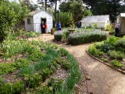 39 The House Garden