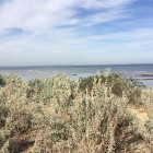 IMG_5238