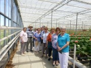 27 - In the hothouse - Jill J, Ray W, Wilma McL, Gerda W, Ken J, Pat H, Pam McN, Ruth W, Rosemary P, Rosalie O