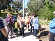 1 - Jan L, Pam McN, Val W, Kathryn P, Rosemary B, Carmen