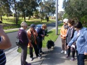2 - Jan L, Val W, Pam McN, Chief, Kathryn P, Rosemary V, Carmen