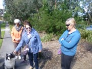 3 - Chief, Kathryn P, Rosemary B (concealed), Carmen, Barb S