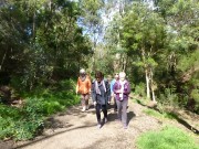 2016 Walk Damper Creek