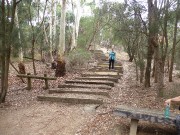 3 - Coming down the steps.