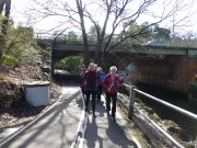 21 Aug 2019 Walk Glen Iris