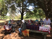 24 Jan 2018 Picnic Norton Park