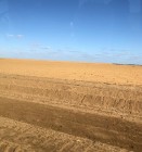 3.01 Rice Field Bourke