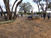 3.05 Fred Hollow's grave