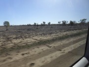 4.01 Dry outback New South WalesP1130075