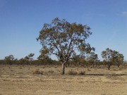P1150733