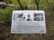 P1160218