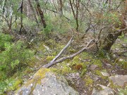 P1160282