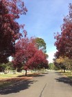 IMG_2727 (2)