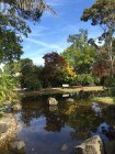 April 2015 Walk Springvale 
