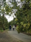 IMG_6946w