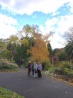 Canterbury Gardens Walk 2015