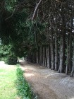 IMG_3967