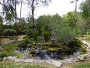 P1070587