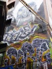 P1050642 laneway art