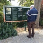 IMG_1965