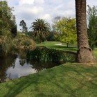 IMG_1967