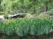 IMG_4639w