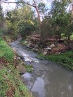 Scotchmans Creek Walk (2)