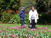 Sept 2014 Walk Tesselaar Tulip Farm