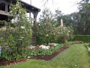 P1020509