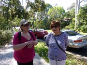 Walk Blackburn Creek Nov 2015