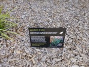Walk Cranbourne Gardens_10