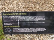 Walk Cranbourne Gardens_3