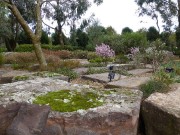 Walk Cranbourne Gardens_5