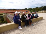 Walk Cranbourne Gardens_7