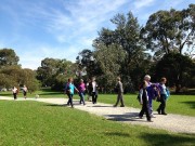 Walk Glen Iris 16 April 2014