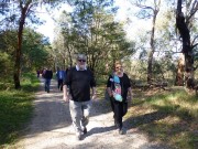 The Stragglers