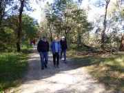 Walking